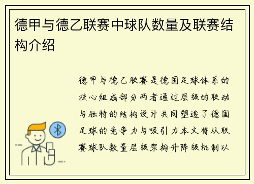 德甲与德乙联赛中球队数量及联赛结构介绍